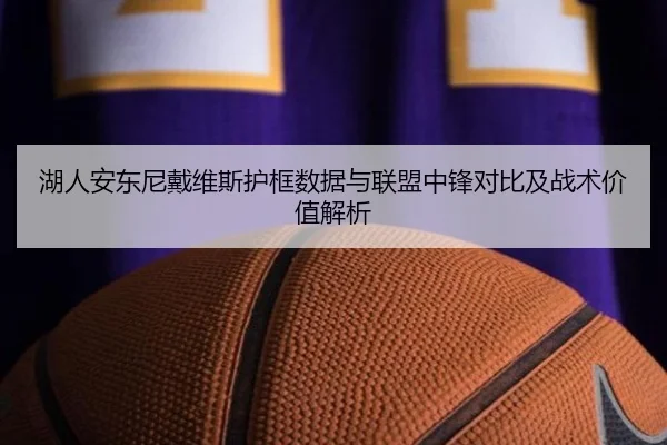 湖人安东尼戴维斯护框数据与联盟中锋对比及战术价值解析